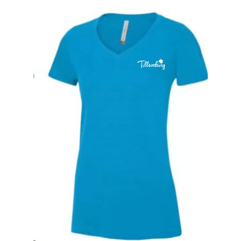 ladies ringspun sapphire vneck